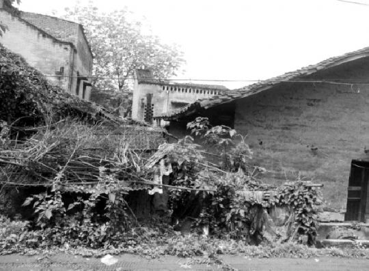 为建小南海水电站，2006年，官方下达“封库令”，禁止房屋建设以及招商引资。8年后，中坝岛上许多房屋都成了危房。本报记者邓全伦摄