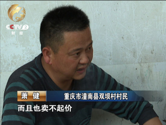 往年曾帮村民卖出去上千吨萝卜的萧健今年自家10亩地的萝卜才卖出去个零头