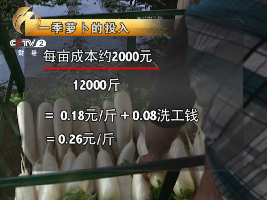 村民们给记者算了一笔账