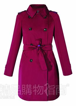 职业与服装| 国会职员的万能出行款