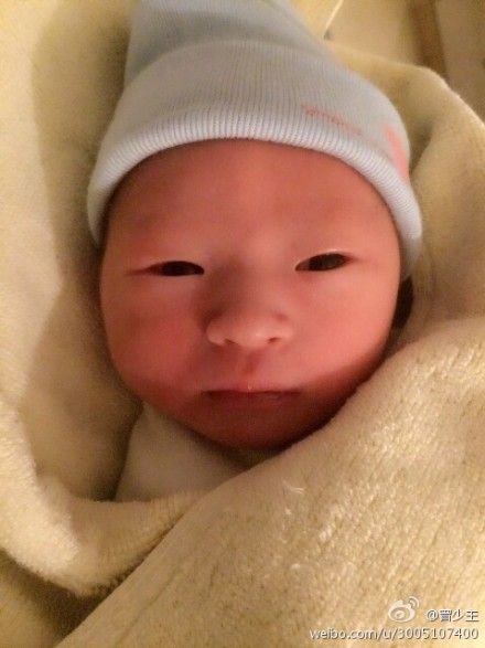 曾毅12日凌晨喜获爱子
