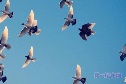 不会表白的星座有哪些？