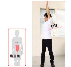 拉伸腹直肌