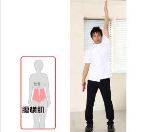 拉伸腹横肌