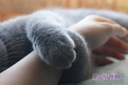 哪些星座感情被虐依旧不离不弃