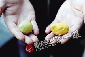 　　▲李女士买到的问题鸡蛋蛋黄（右）与普通鸡蛋蛋黄对比