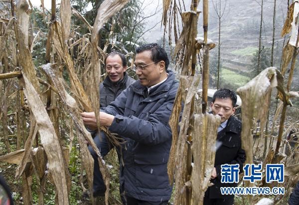 　　2012年12月29日,李克强在湖北省恩施龙凤镇青堡村察看挂坡地种植的艰难。