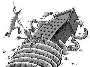 CFP供图